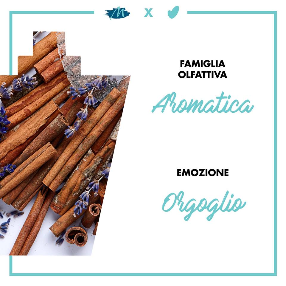 Aromatica Aromatica