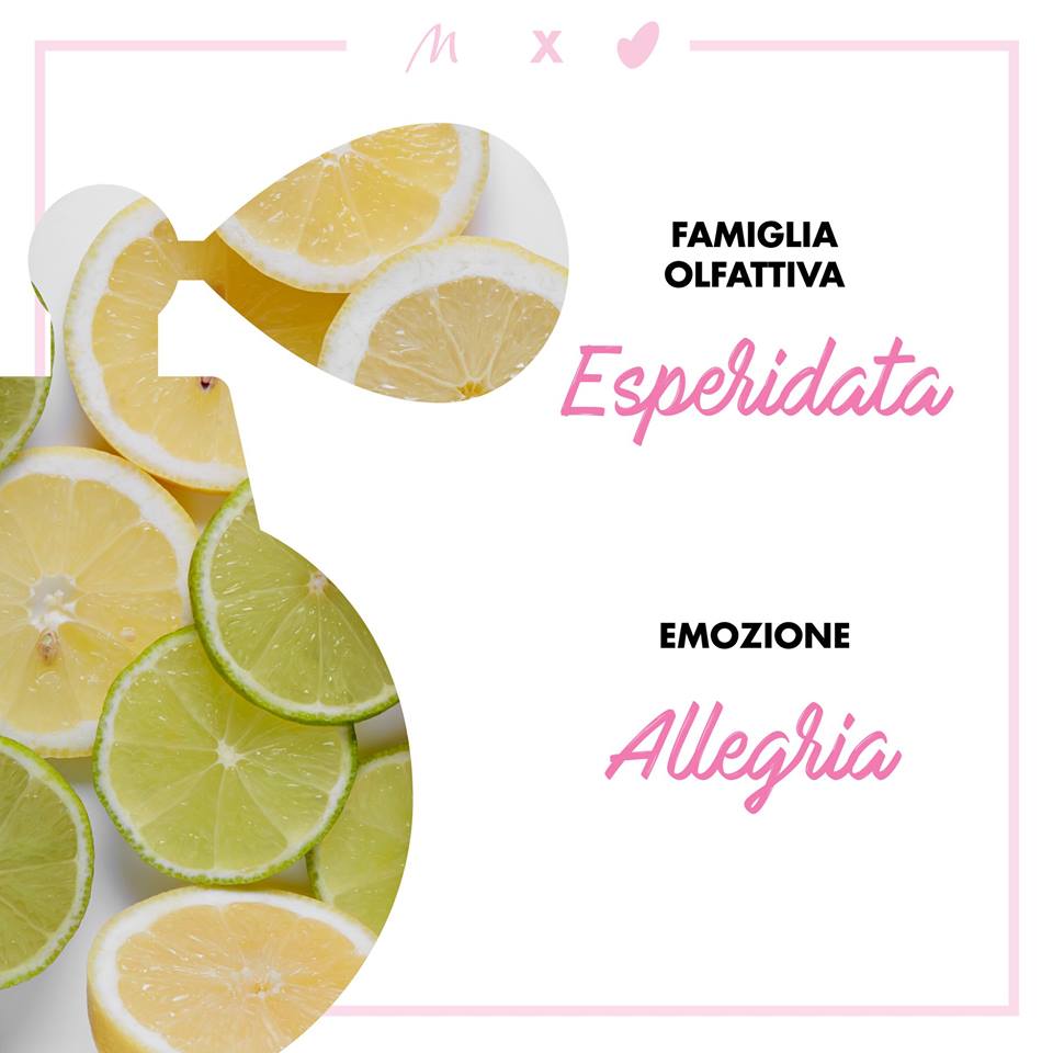 Esperidata Esperidata