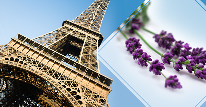 Fragrances_News&TrendsArticle_France