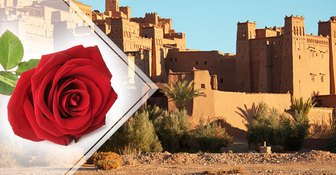 Fragrances_News&TrendsArticle_Morocco