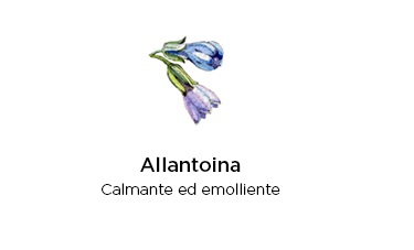 allantoina