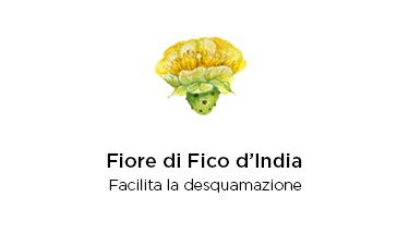 fico d'india