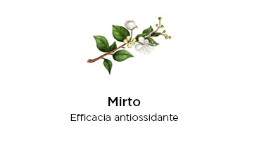 mirto