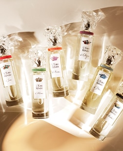 Sisley Fragrance Category