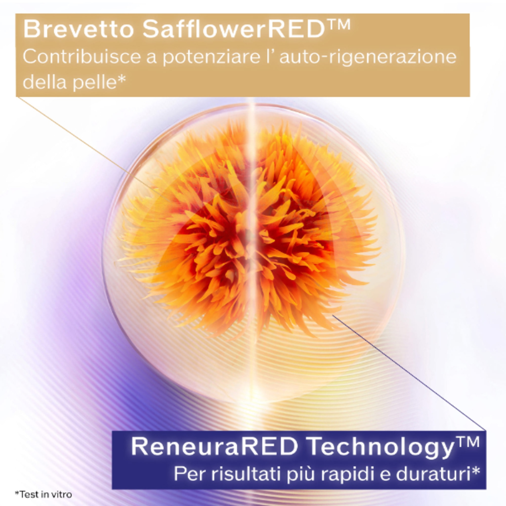 Uplifting and Firming Advanced Cream Soft