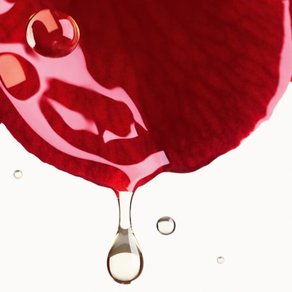 SIERO BRUME ALLA CAMELIA ROSSA  PROTEGGERE - LENIRE - RAVVIVARE LA LUMINOSITÀ