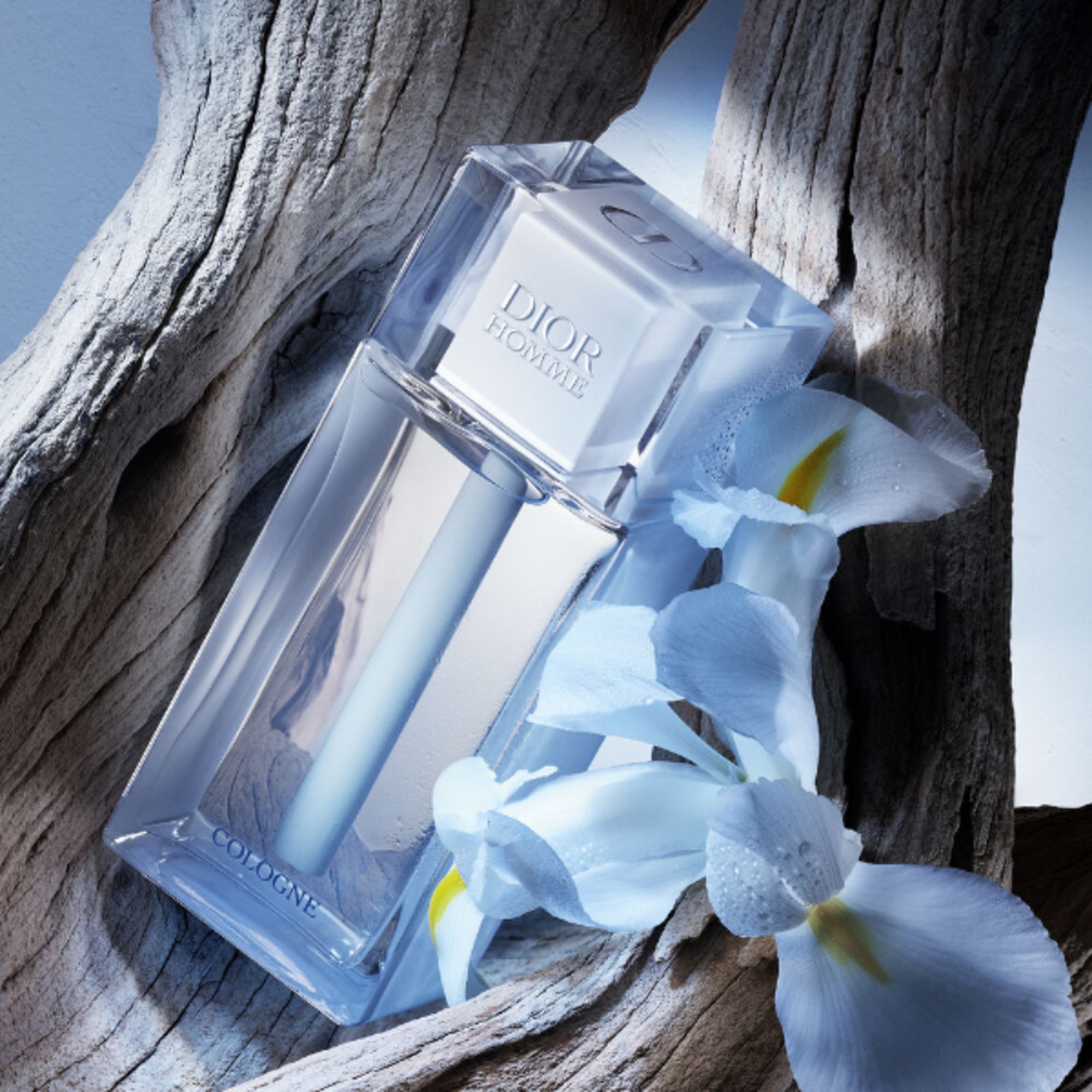 DIOR HOMME COLOGNE EDT 125 ML