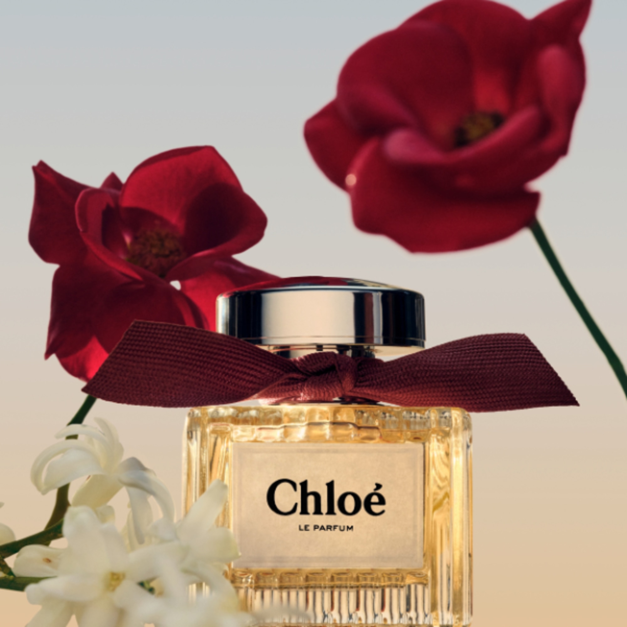 100 ML Chloé CHLOÉ LE PARFUM Parfum  1 di 7 
