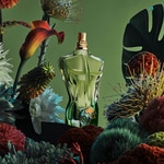 75 ML Jean Paul Gaultier LE BEAU PARADISE GARDEN Eau De Parfum 6 di 6 Eau De Parfum