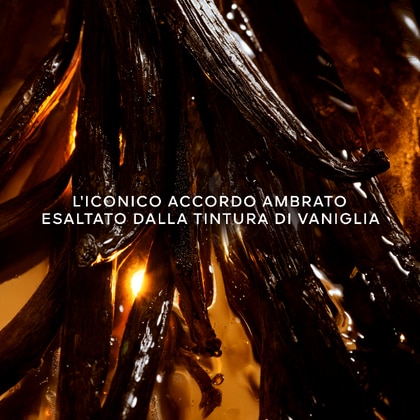 Eau De Parfum Intense