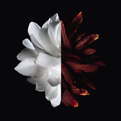 Eau de Parfum Rouge