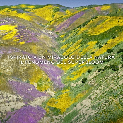 Florabloom - Eau de Toilette