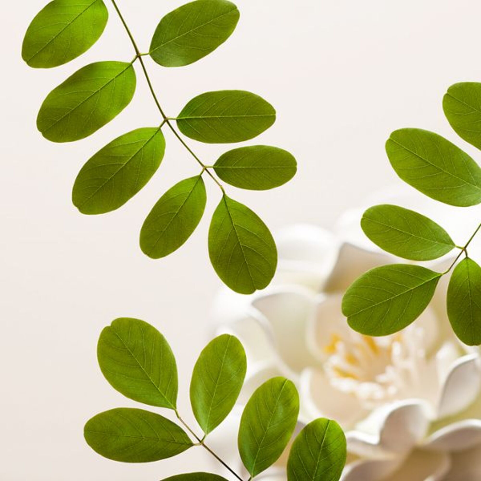 1 PCS RITUALS SKINCARE Cleansing Face Wipes  1 di 3 