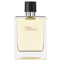 Terre D’Hermes Eau De Toilettevaporisateur   100 Ml