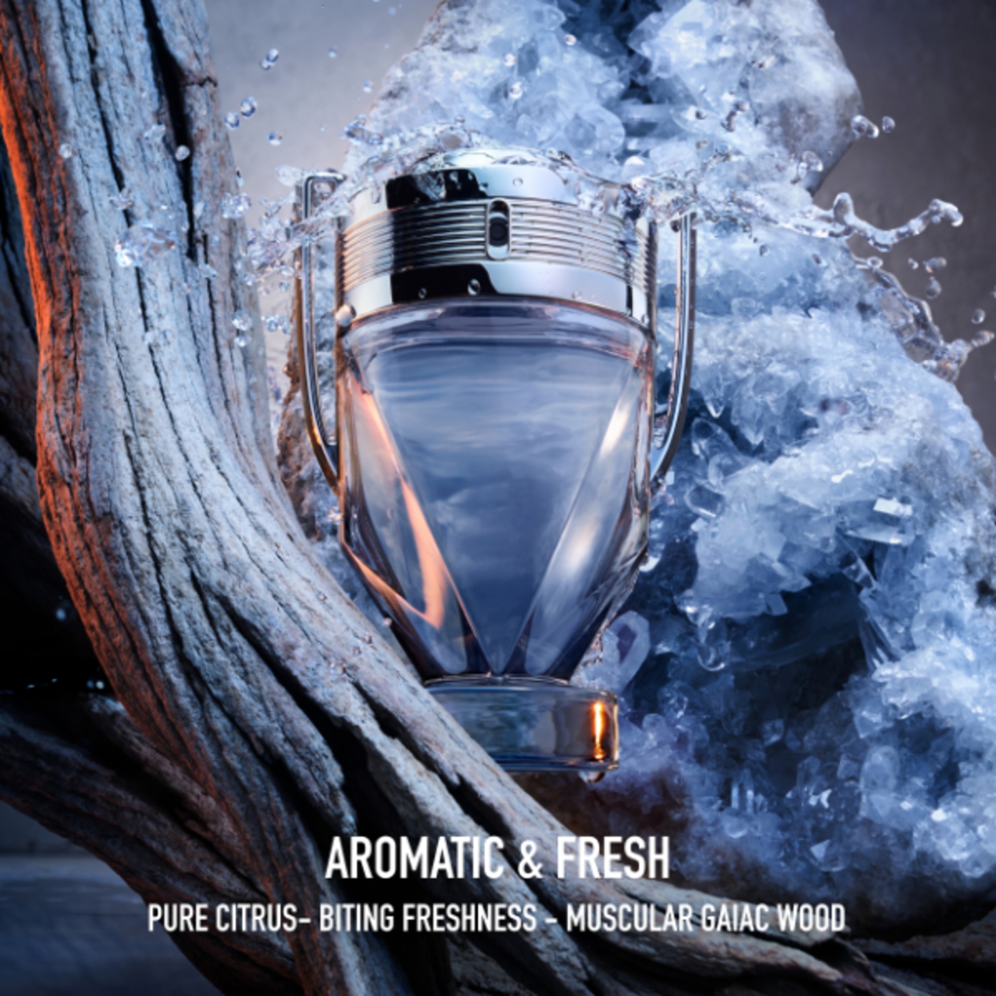 INVICTUS EDT 100 ML