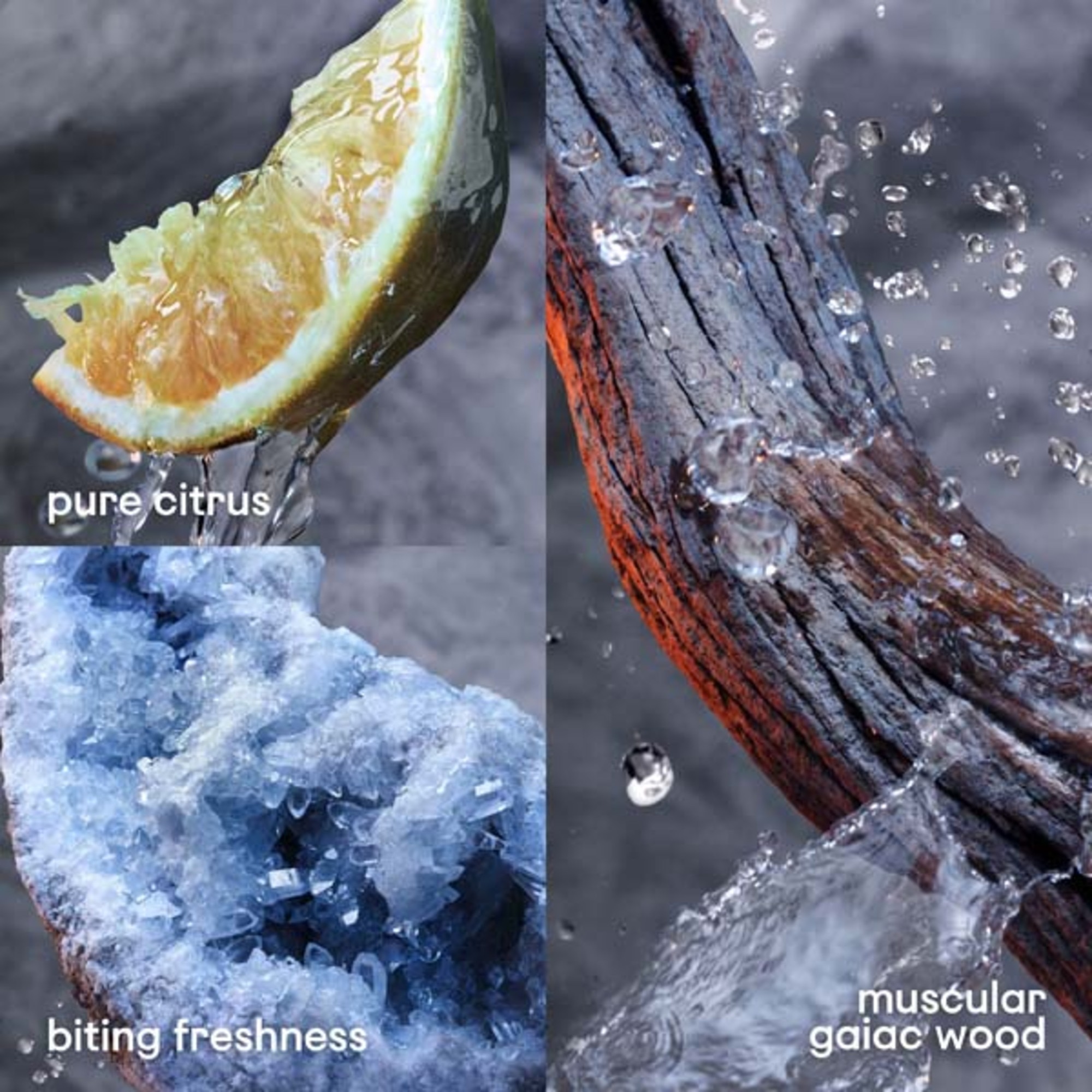 INVICTUS AFTER SHAVE LOTION 100 ML