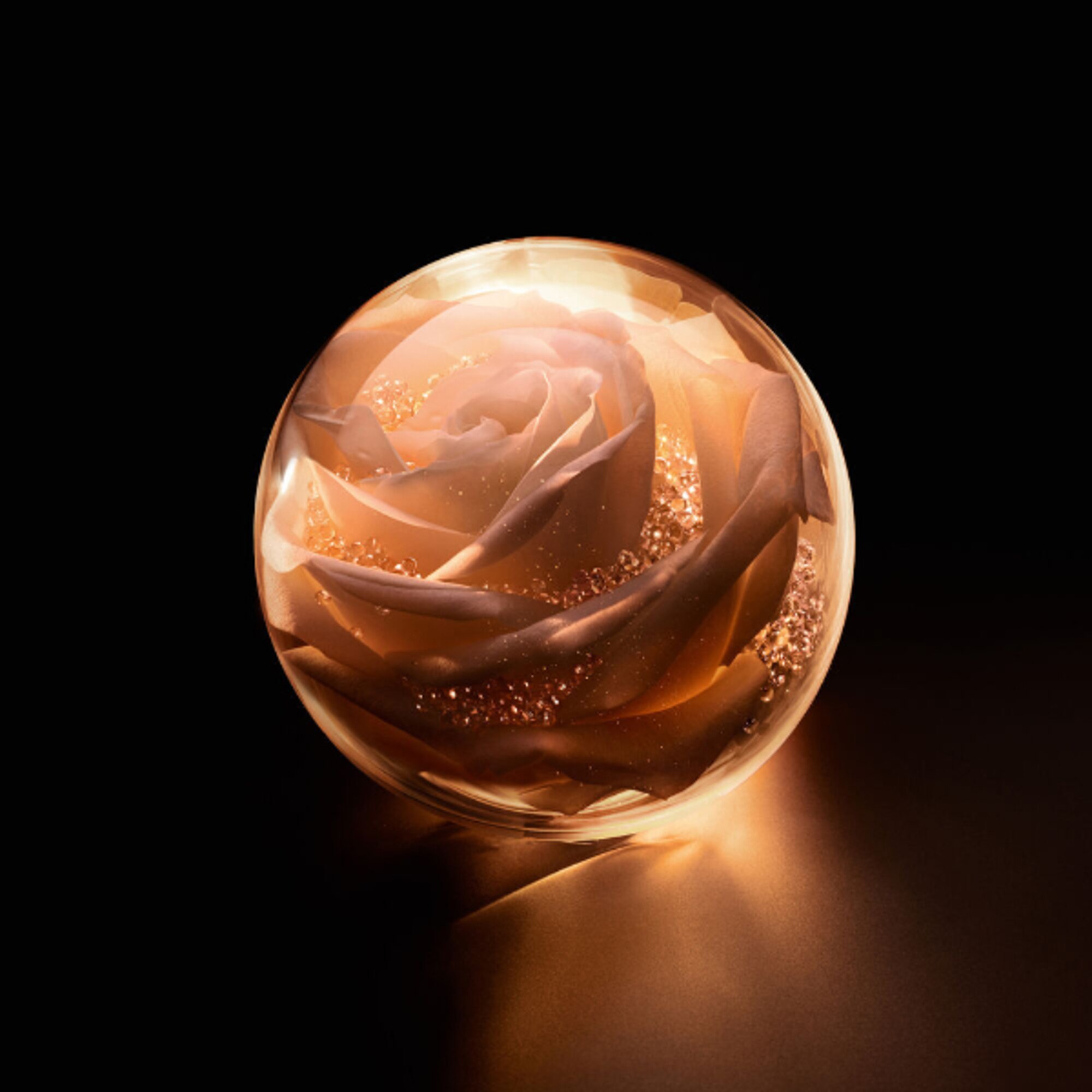 La Micro-Huile de Rose Activated Serum