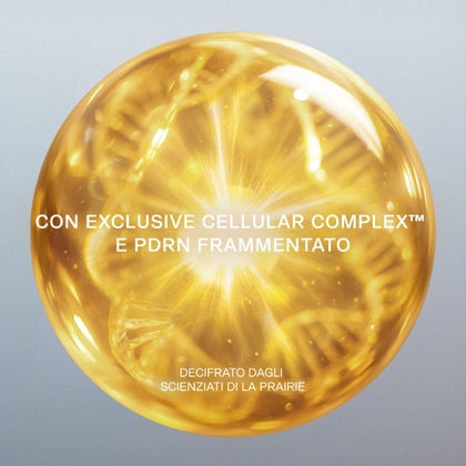 Day & Night Firming Duo