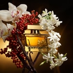 30 ML Dolce&Gabbana THE ONE Eau De Parfum Intense 2 di 8 Eau De Parfum Intense