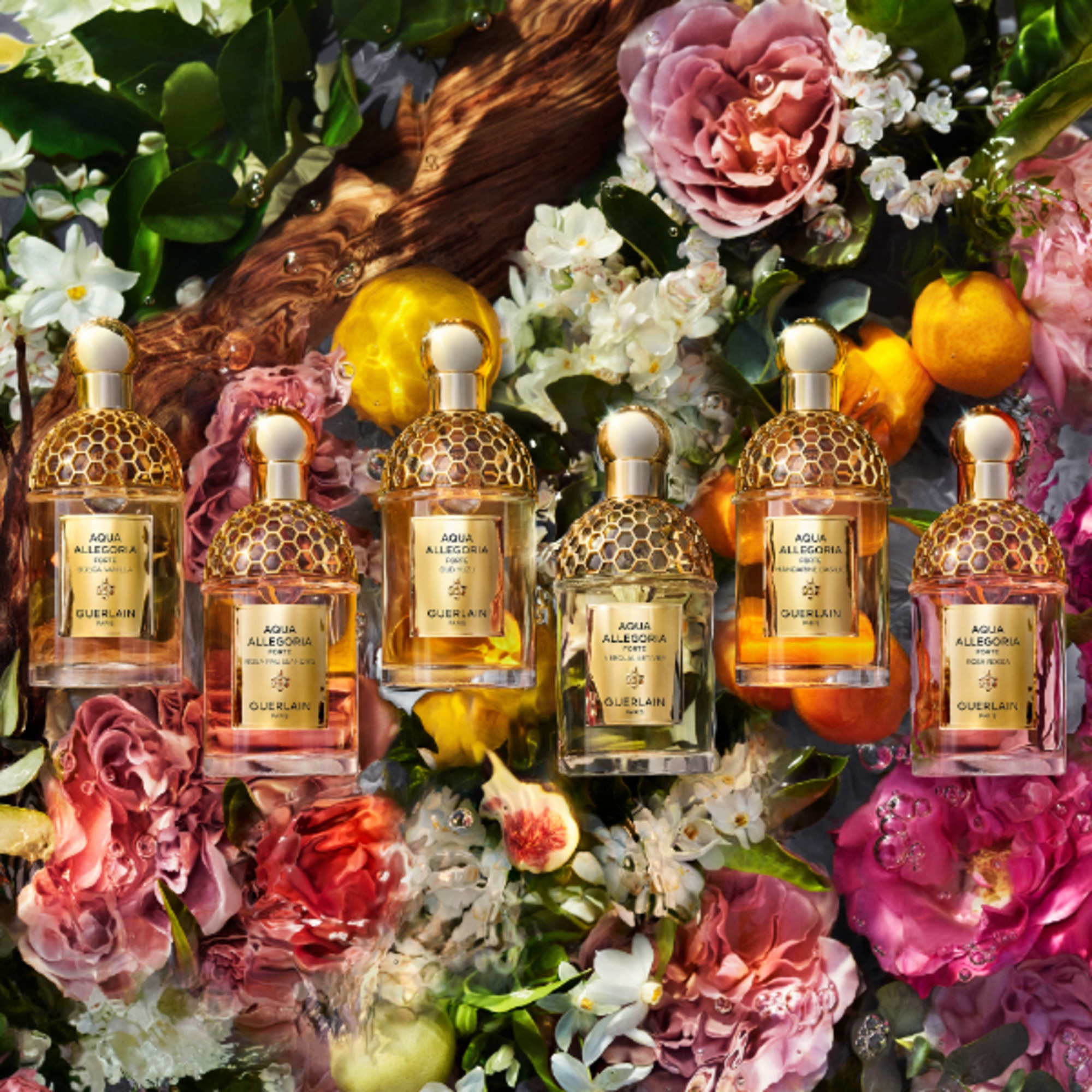 Florabloom - Eau De Parfum