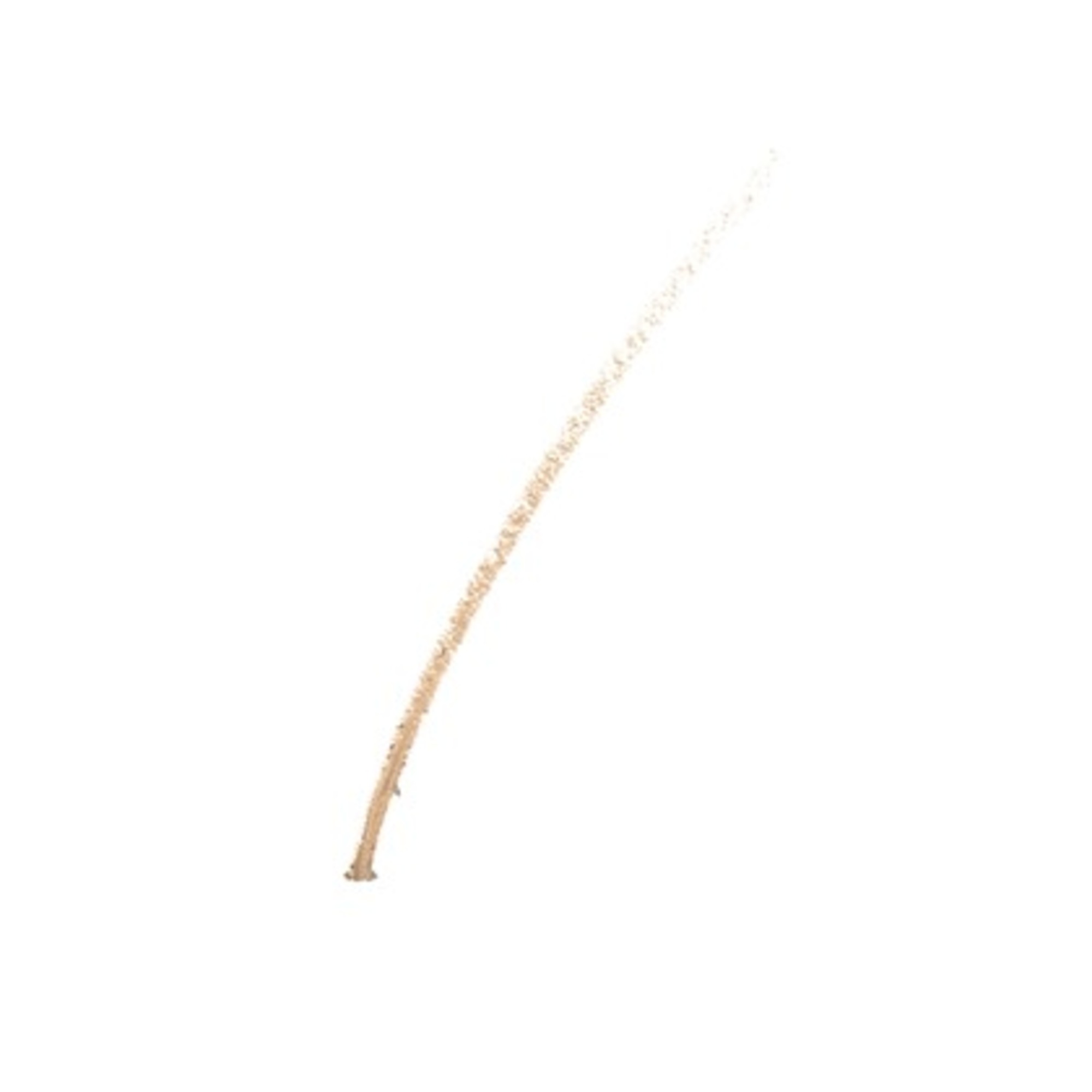 Brow Defining Pencil