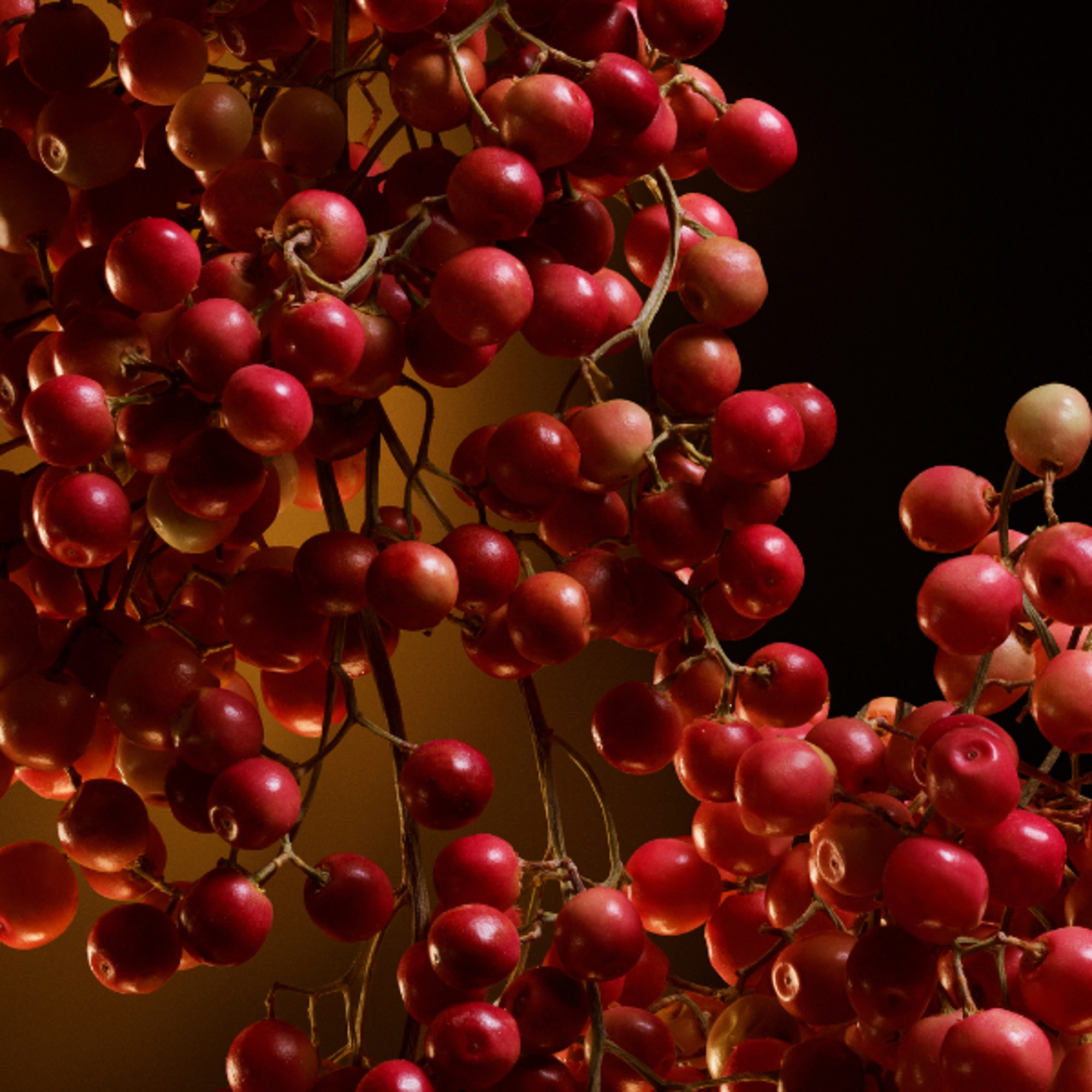 Eau De Parfum Intense