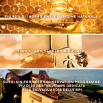 50ml+5ml+4,2ml Guerlain ABEILLE ROYALE PROGRAMMA ANTI-ETÀ HONEY TREATMENT DAY CREAM Cofanetto Regalo 6 di 6 Cofanetto Regalo