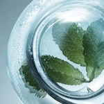 Clarins CRYO COLLECTION Olio Labbra 6 di 6 Olio Labbra