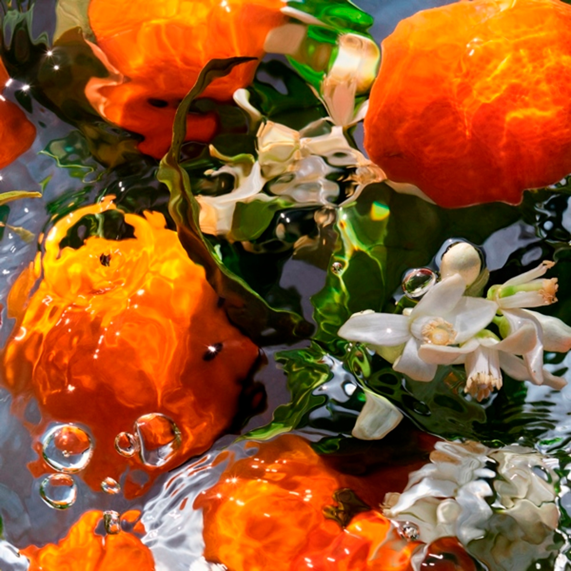 Mandarine Basilic - Eau de Toilette