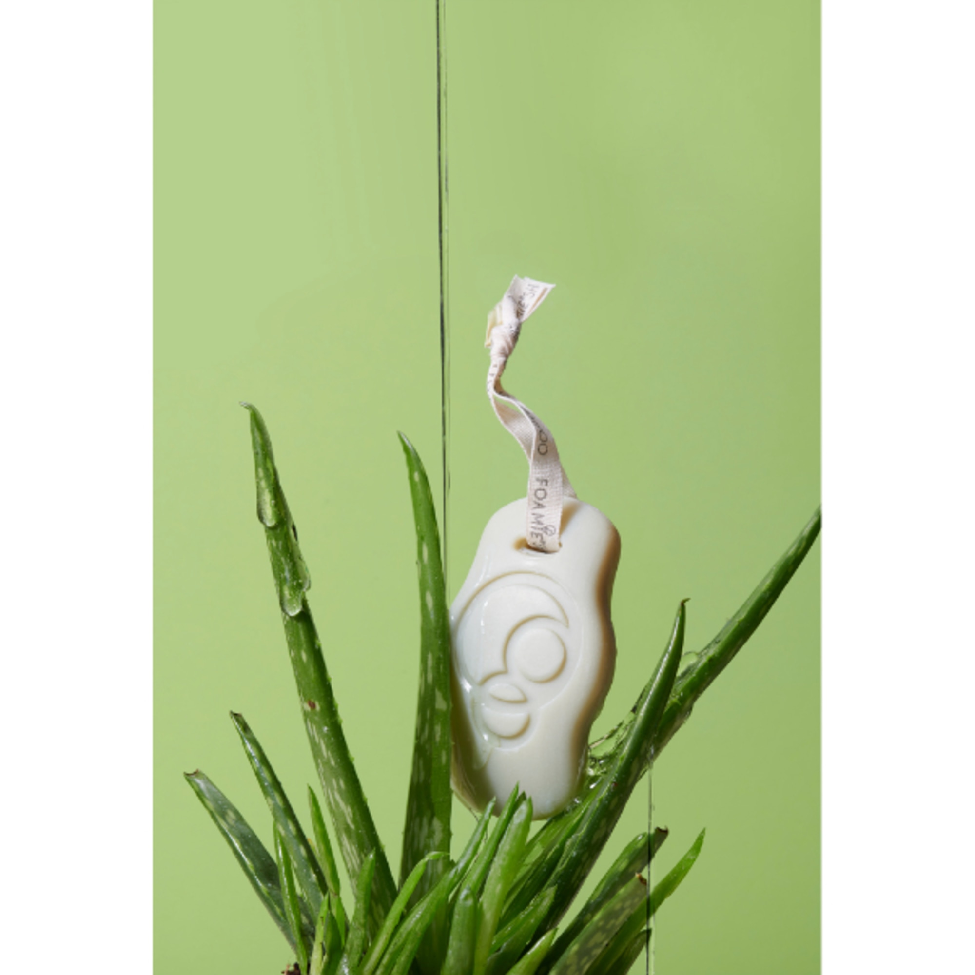 Shampoo Solido Aloe Vera