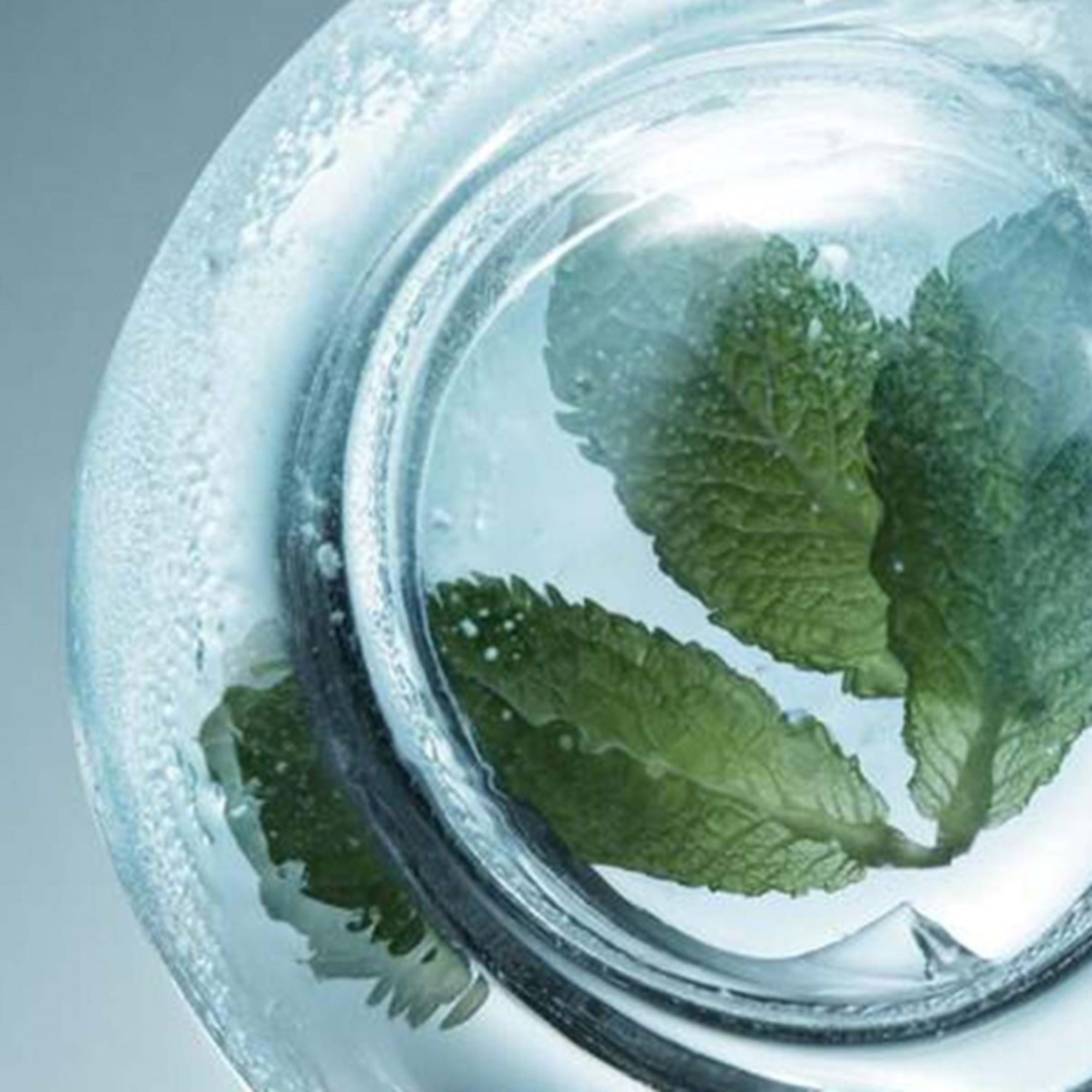  Clarins CRYO COLLECTION Olio Labbra  1 di 6 