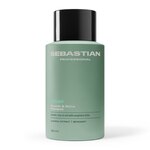 280 ML Sebastian VOLUPT Shampoo per Capelli Fini 1 di 7 Shampoo per Capelli Fini
