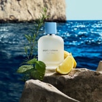 100 ML Dolce&Gabbana LIGHT BLUE POUR HOMME Eau De Toilette 2 di 8 Eau De Toilette