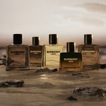 60 ML Burberry HERO Elixir De Parfum 7 di 7 Elixir De Parfum