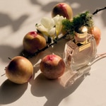 30 ML Chloé CHLOÉ NOMADE Eau de Parfum  5 di 6 Eau de Parfum