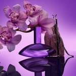 50 ML Calvin Klein EUPHORIA Parfum Intense For Women 2 di 6 Parfum Intense For Women