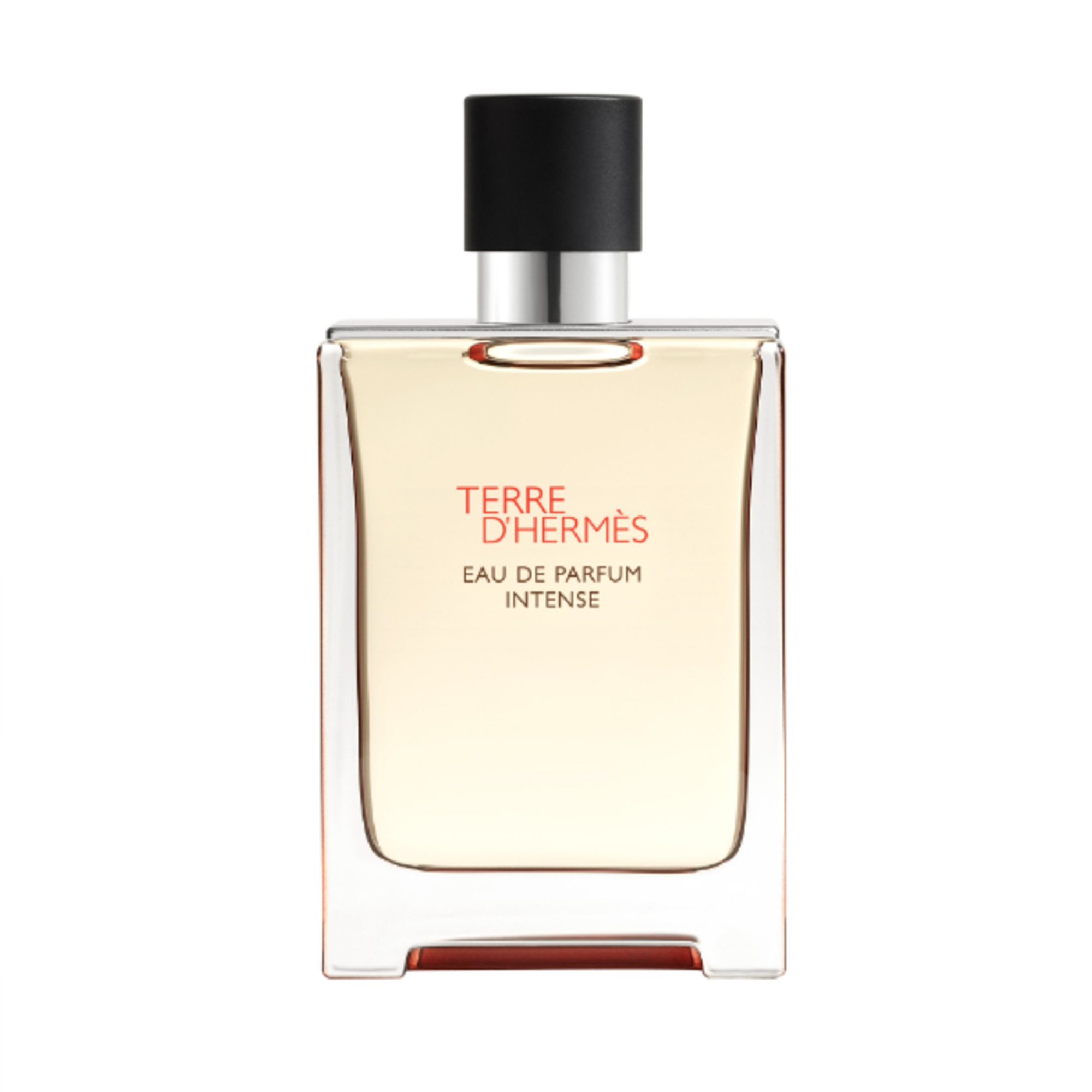 100 ML Hermès TERRE D'HERMÈS Eau De Parfum Intense 1 di 8 Eau De Parfum Intense