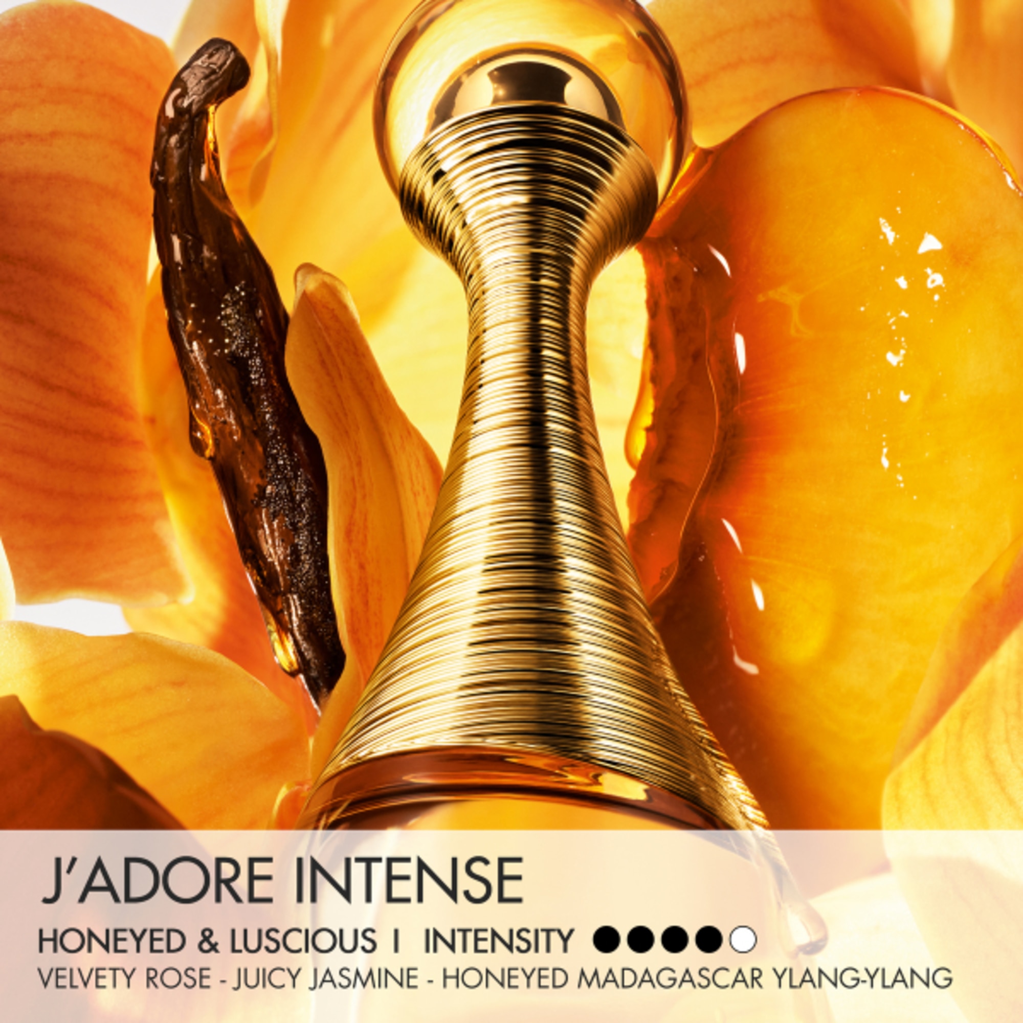 50 ML Dior J'ADORE J'ADORE INTENSE PARFUM 50ML  1 di 6 