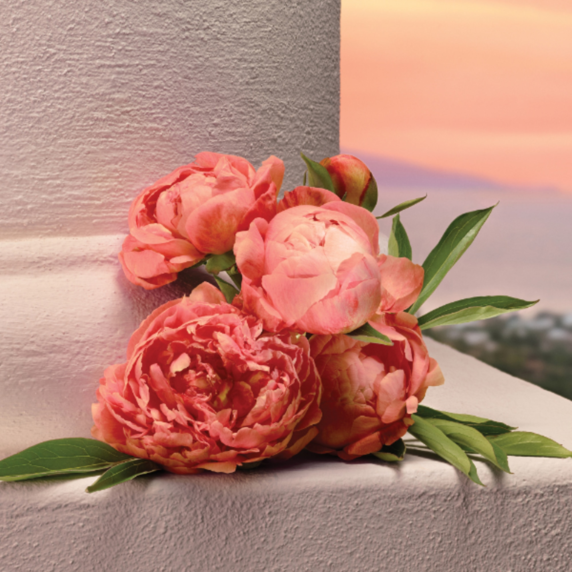 Eau De Parfum Intense