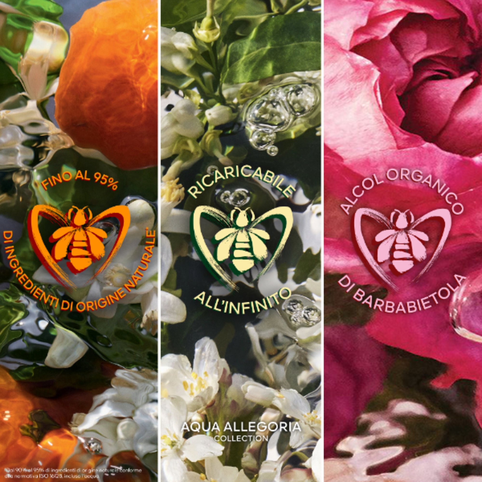 Rosa Verde - Eau De Toilette