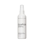 Hair Mist Multi Uso
