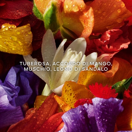 Cofanetto Regalo