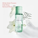 100 ML Calvin Klein CK COTTON MUSK Hair & Body Perfume Mist  3 di 8 Hair & Body Perfume Mist