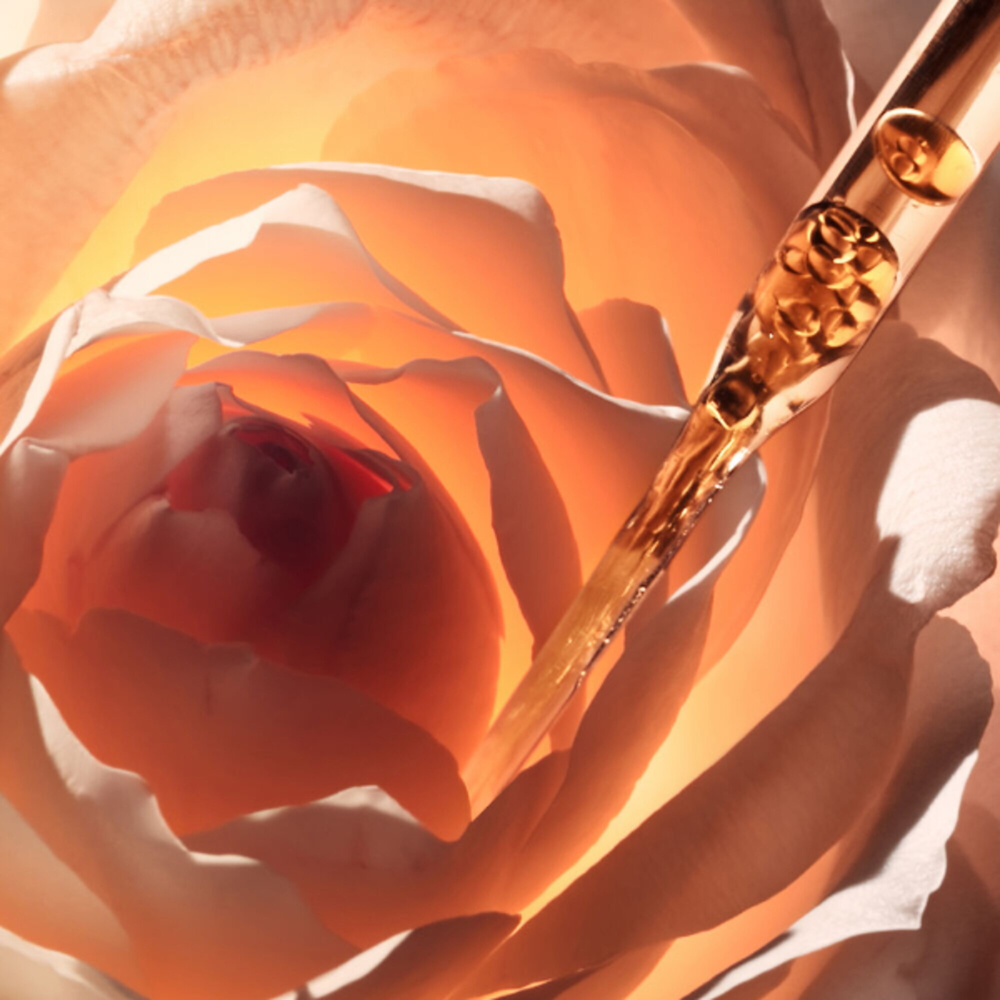 La Micro-Huile de Rose Activated Serum