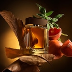 50 ML Dolce&Gabbana THE ONE FOR MEN Eau De Parfum  2 di 8 Eau De Parfum