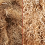 250 ML Olaplex 5P Blonde Enhancer Toning Conditioner  6 di 8 Blonde Enhancer Toning Conditioner