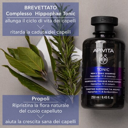 250 ML Apivita TONIC Shampoo Tonificante Uomo  1 di 7 