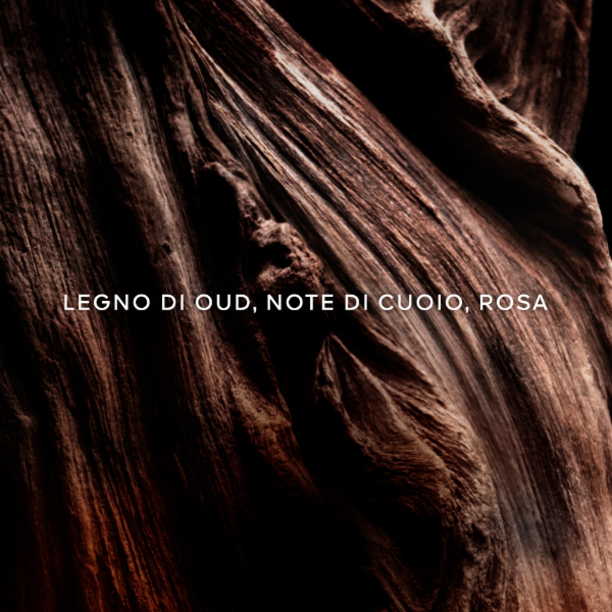 Oud Essentiel - Eau de Parfum