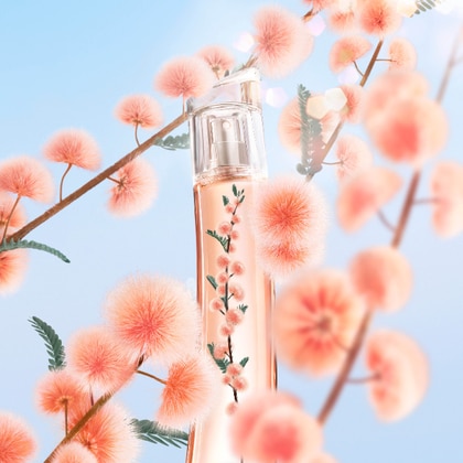 40 ML KENZO FLOWER IKEBANA MIMOSA BY KENZO Eau De Parfum  1 di 3 