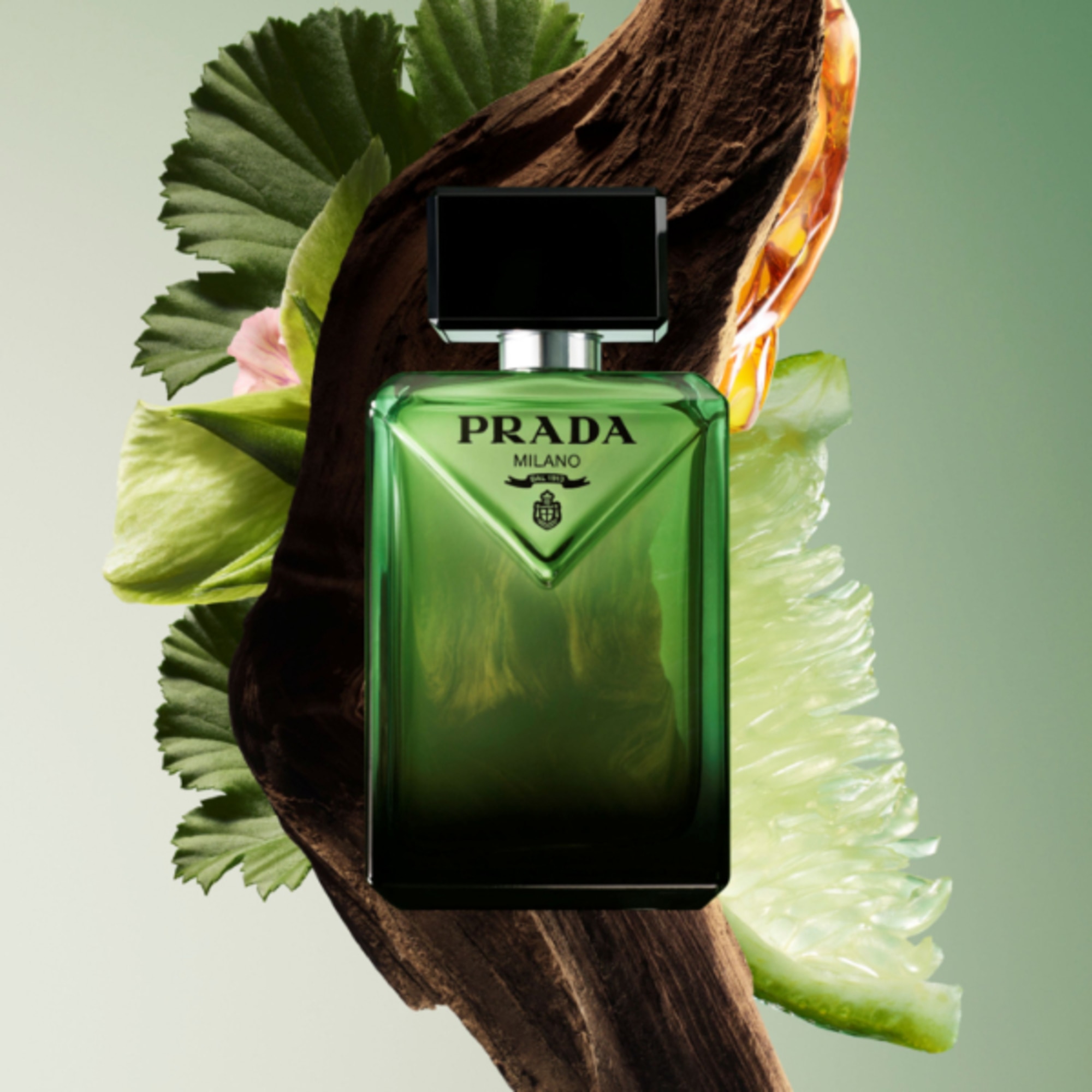 Eau De Parfum